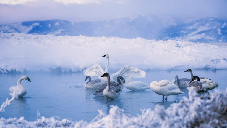 Unraveling the Mysteries of Meteo: Deciphering Weather Patterns-meteo