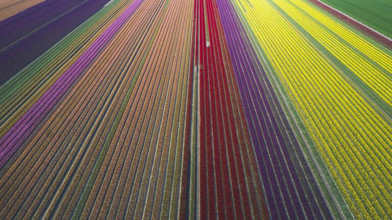The Science Behind Thermal Radiation and How High Temperature Aprons Provide Protection