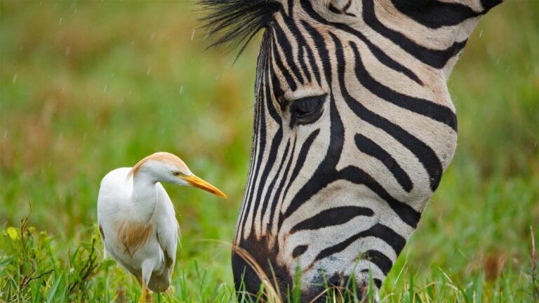 Witness the beauty of nature in these stunning photos