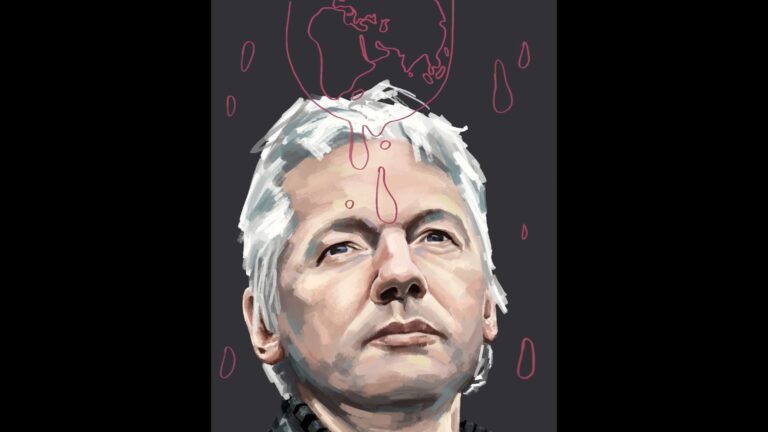 Julian Assange Process Video