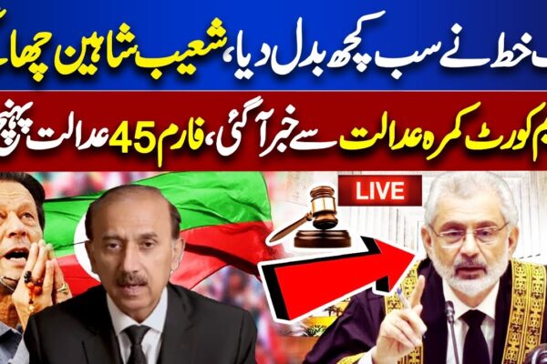 LIVE | Election 2024 Results Update | Shoaib Shaheen Important Media Talk | SC Big Decision
