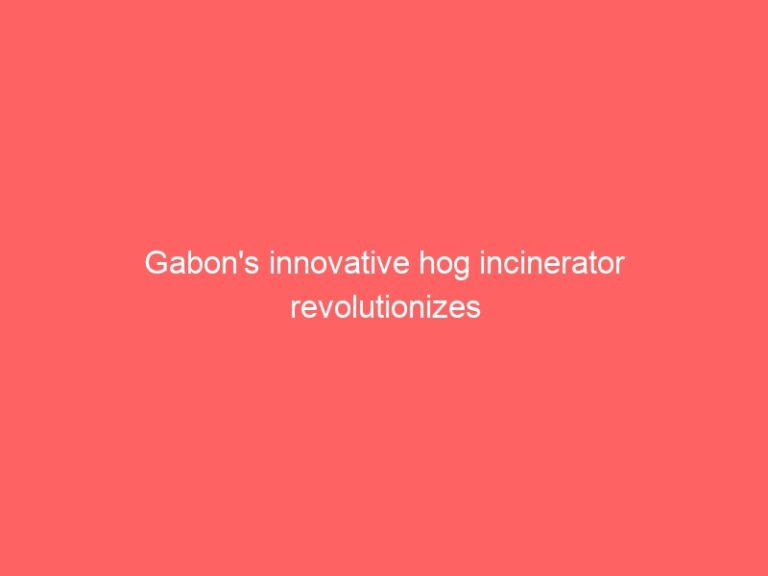 Gabon’s innovative hog incinerator revolutionizes waste management