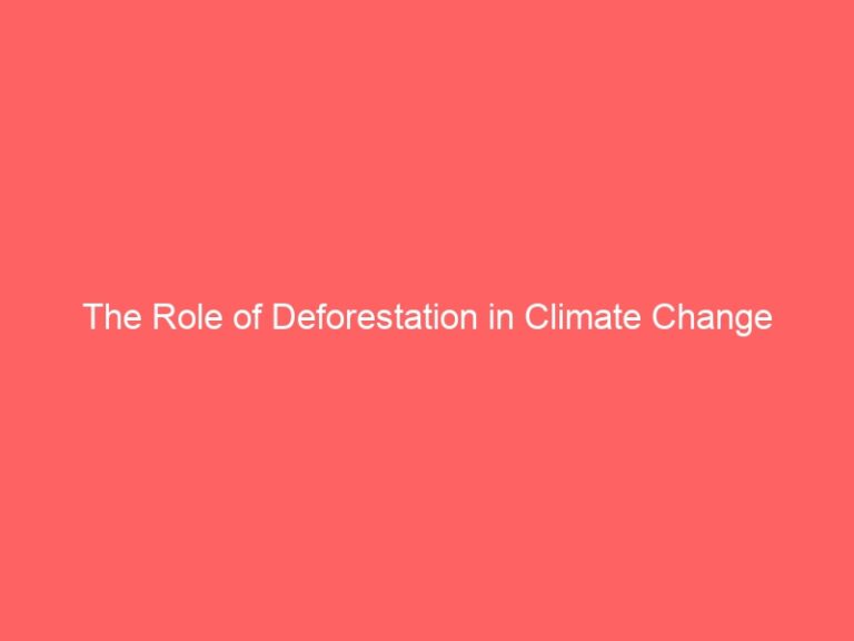 The Role of Deforestation in Climate Change