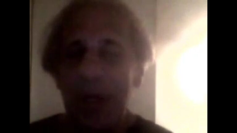 Free Julian Assange.mp4