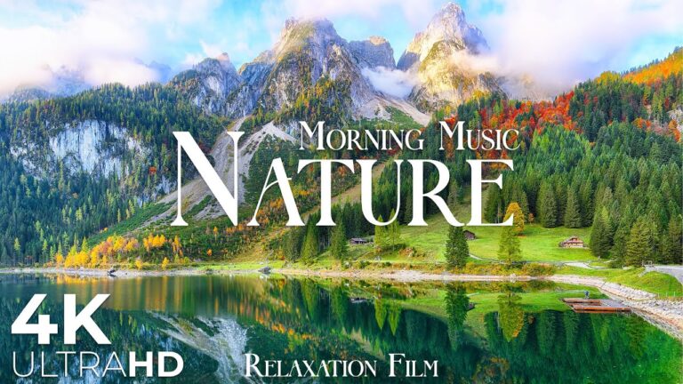 Nature Relaxation Film 4K • Beautiful Relaxing Music • Video Ultra HD