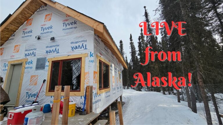 LIVE! from Alaska!