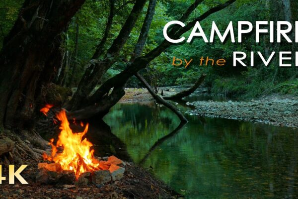 4K Campfire by the River – Relaxing Fireplace & Nature Sounds – Robin Birdsong – UHD Video – 2160p