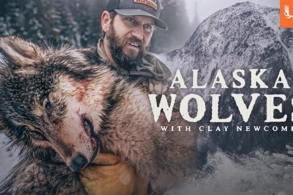 Alaska Wolf Management with Clay Newcomb