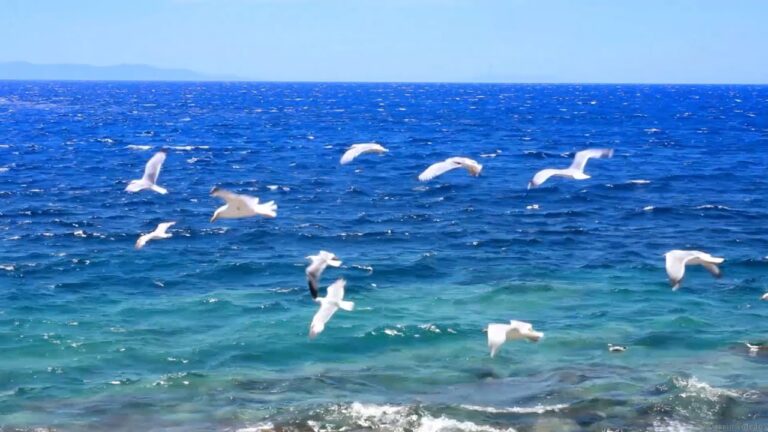Musique Relaxante – Vidéo HD – Paysages, Nature… Relaxation