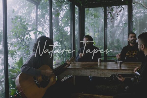 When We Feel Young (Nature Tapes)