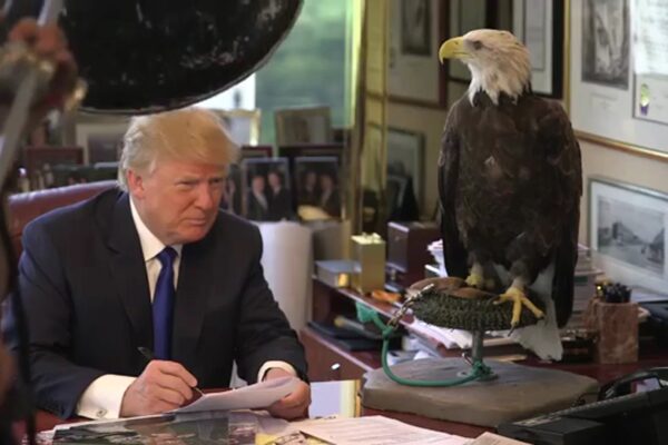 Trump’s Trump