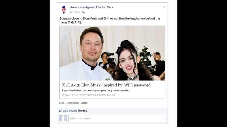 Elon Musk misinformation